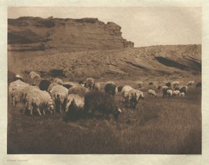 Portfolio I, lastra 33: Greggi Navaho