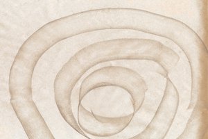 Curve morbide e organiche da Edward Selkirk