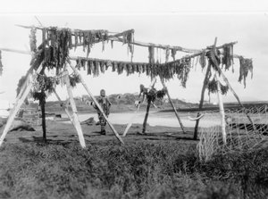 Un uomo eschimese sotto una struttura con carne di balena appesa ad asciugare, c.1929