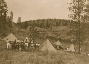Campo dell