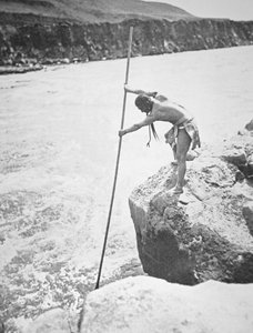 Popolo Chinook che pesca salmoni nel fiume Columbia da Edward Sheriff Curtis