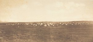 Accampamento della danza del sole - Piegan
