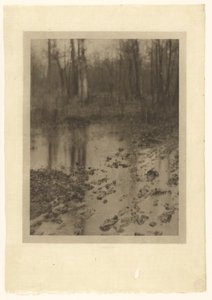 La piscina da Edward Steichen