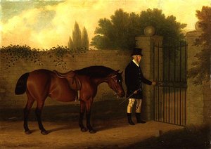 Un gentiluomo che conduce un Welsh Cob vicino a un cancello del giardino da Edward Tolley