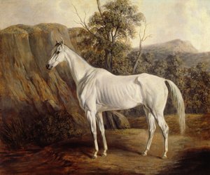 Bolivia, 1836 da Edward Troye
