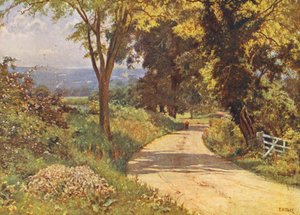 La mia strada