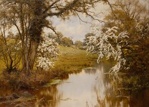 Dove Fioriscono Allegramente i Biancospini da Edward Wilkins Waite