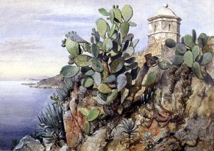 Cactus Opuntia, Monaco da Edward William Cooke