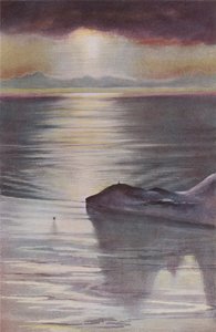 Hut Point da Observation Hill, 1911, 1913