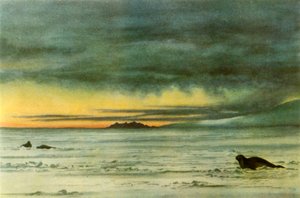 Guardando a nord nel McMurdo Sound