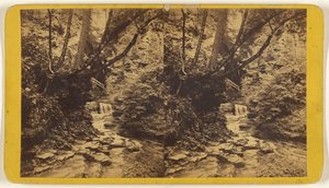 Studi di artisti, Glen Alpha. Sezione n. 1. da Edward and Henry T. Anthony and Co.