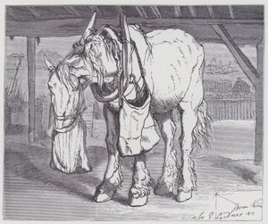 Un Cavallo da Tiro da Edwin (after) Landseer