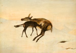 Un Colpo a Caso da Edwin (after) Landseer