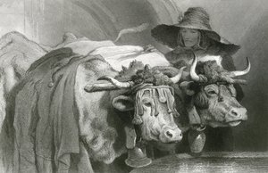 Buoi al serbatoio, Ginevra (incisione) da Edwin (after) Landseer