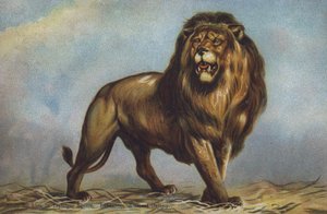 Studio per leone a Trafalgar Square di Landseer, National Gallery, Londra