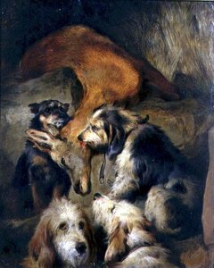 Morte di un cervo