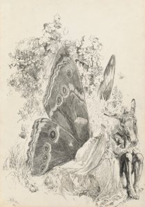 Bottom e Titania, illustrazione per Sogno di una notte di mezza estate
