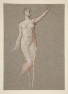 Studio di figura