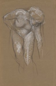 Studio di figura