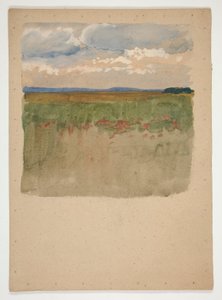 Paesaggio con campo, orizzonte, cielo
