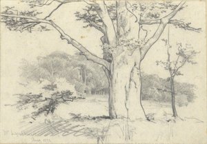 Nr. Lyndhurst, agosto 1871