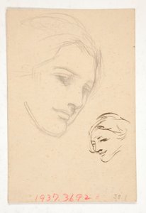 Ritratto di una donna non identificata