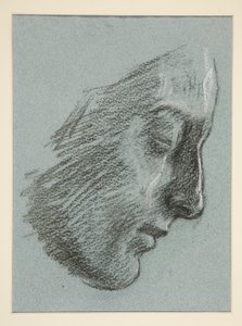 Profilo di una giovane donna