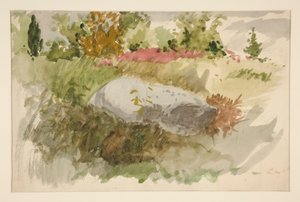 Rocce e arbusti da Edwin Austin Abbey