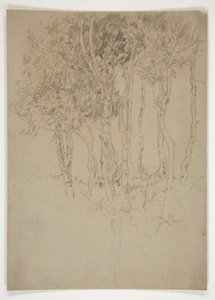 Schizzo di un boschetto di alberi da Edwin Austin Abbey