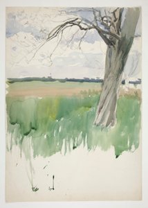 Studio di un campo e un albero da Edwin Austin Abbey