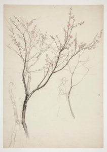Studio di una figura sotto un albero in fiore