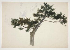 Studio di un albero da Edwin Austin Abbey