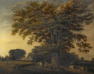La Quercia di Binley, 1848 da Edwin Brown