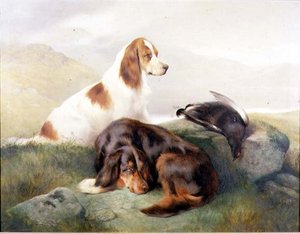 Alla fine della giornata