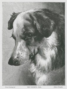 Il cane fedele (incisione)