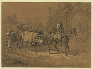 Il capo del branco da Edwin Forbes
