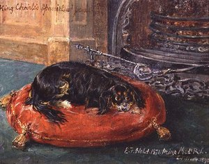 Re Carlo Spaniel a Riposo