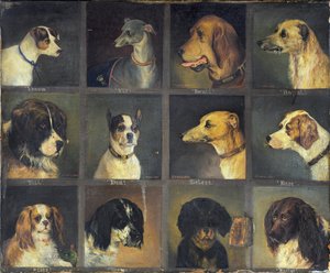 Dodici Cani Preferiti, 1883 da Edwin Frederick Holt