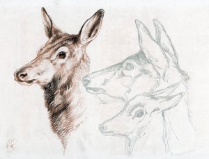 Facsimile di un disegno di Sir E Landseer, 1874