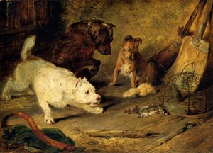Acchiappatopi da Edwin Henry Landseer