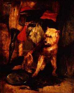 Tutto ciò che resta della gloria di William Smith