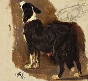 Cagna Collie da Edwin Landseer