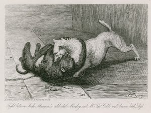 Combattimento tra Jacco Macacco, una scimmia celebre, e la cagna ben nota di Mr Thomas Cubb, Puss da Edwin Landseer
