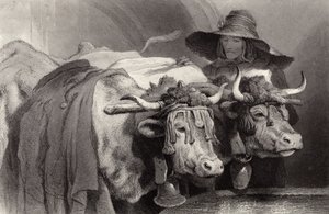 Buoi alla cisterna, Ginevra, Svizzera da Edwin Landseer
