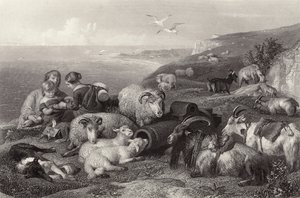 Pace da Edwin Landseer