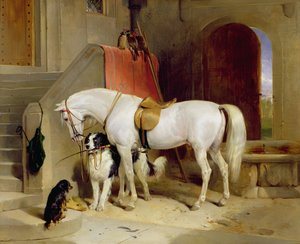 I favoriti del principe Giorgio da Edwin Landseer