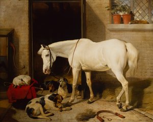 Scarbro, un vecchio cavallo da copertura da Edwin Landseer