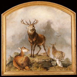 Scena a Braemar - Cervi delle Highlands