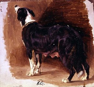 Schizzo di un Collie da Edwin Landseer