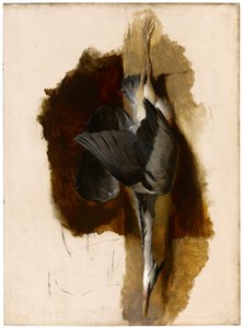 Studio di un airone morto, c.1832-33